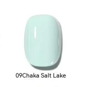 Micro Glue Non-peeling Nail Polish Baking-free Quick-drying Nail Color Blue Gray 14ml (Option: 9)
